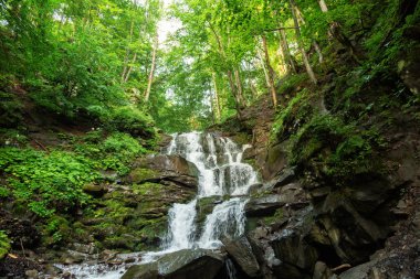 ağaçların arasında dağ Nehri'nin küçük şelale