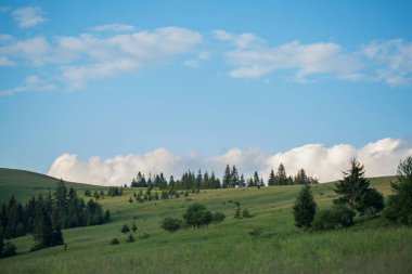 Yeşil çayır ve dağ ile güzel doğa manzarası. Mavi Gökyüzü bulutlu