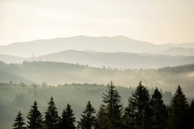 güzel bir sabah sis dağlar arasındaki vadide görünümünü