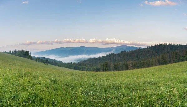 Malý Vodopád Horské Řeky Mezi Stromy — Stock fotografie