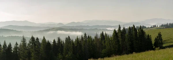 Udsigt Dal Smuk Tidlig Morgen Med Tåge Mellem Bjergene - Stock-foto