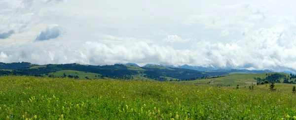 Glade Floreciente Contra Telón Fondo Cordillera Paisaje Verano Las Montañas — Foto de Stock