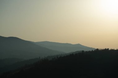 sisli orman dağların panoramik. uzak ufuk.
