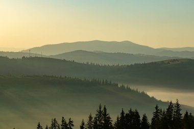 güzel bir sabah sis dağlar arasındaki vadide görünümünü