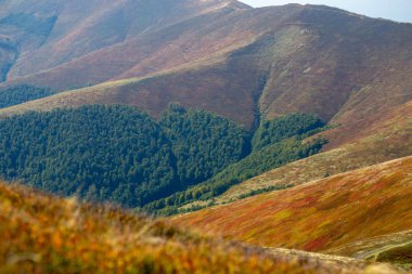 Dağ silsilesi sonbahar ormanının ve yaban mersini sararmış çalılar ile kaplıdır.