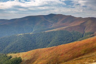Dağ silsilesi sonbahar ormanının ve yaban mersini sararmış çalılar ile kaplıdır.
