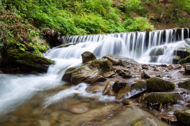 Taşlar cascades ile bir dağ orman bir dere akar.