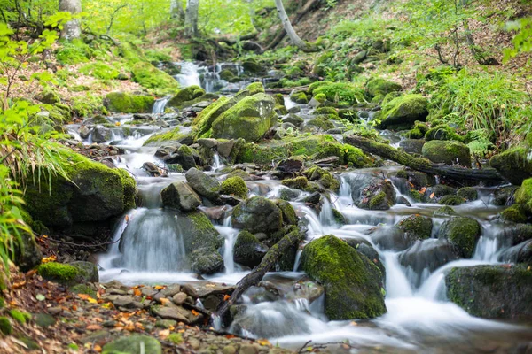Taşlar cascades ile bir dağ orman bir dere akar.