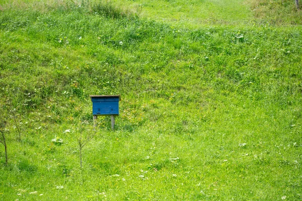 Ein Blauer Bienenkorb Aus Holz Einem Grünen Hang — Stockfoto