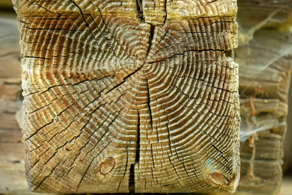 Très Vieux Plan Rapproché Coupe Transversale Bois Sillons Profonds Fissures — Photo