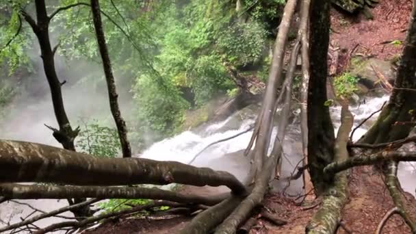 Alberi Che Sono Caduti Fiume Montagna Sulla Cima Una Grande — Video Stock