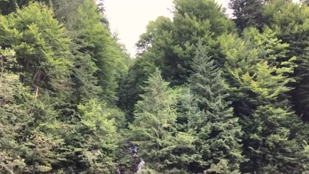 Небольшой Водопад Впадает Стремительную Горную Реку Украина Карпаты — стоковое видео
