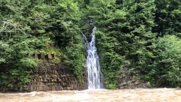 Small Waterfall Flows Swift Mountain River Ukraine Carpathians — Stock Video