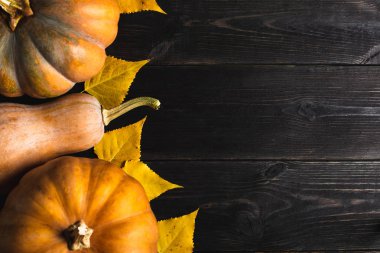 Üç kabak sarı yapraklar siyah bir ahşap zemin üzerinde farklı boyutlarda. Bir tarafta yer. Uzay kopyalayın. Üstten görünüm.