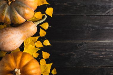 Üç kabak sarı yapraklar siyah bir ahşap zemin üzerinde farklı boyutlarda. Bir tarafta yer. Uzay kopyalayın. Üstten görünüm.