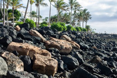 Düşük gelgit sırasında açılış taşlar. Beach Costa Teguise. Adası Lanzarote, İspanya.