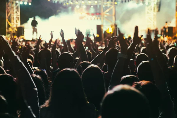 Una grande folla di concerti si diverte davanti al palco . — Foto Stock