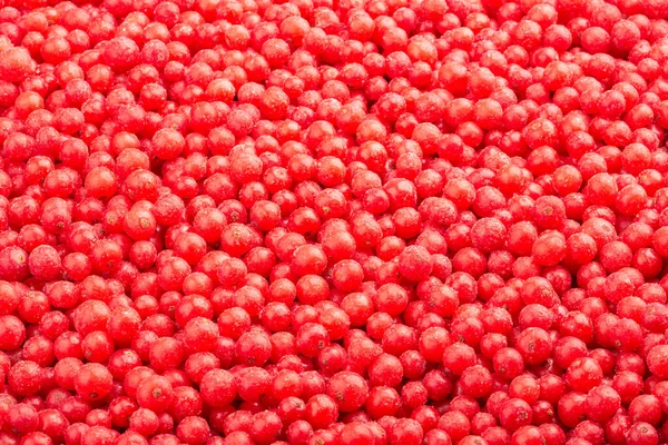 Groselha vermelha fresca congelada. Fundo alimentar. Vista superior — Fotografia de Stock
