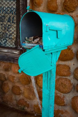 Kopya alanı ve yeşil arka plan ile baharda çiçek çeşitli renklerin güzel çiçekler