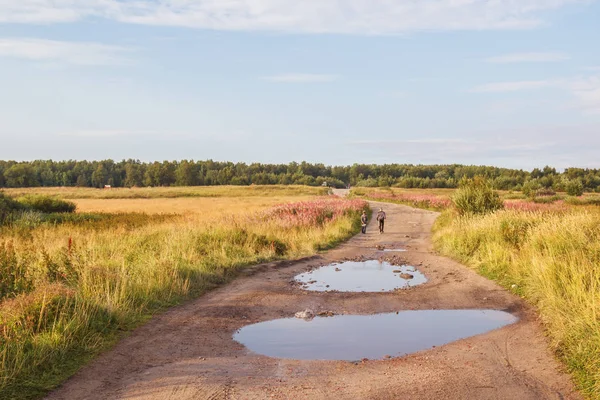 İki erkek Solovki bir yaz gününde su birikintileri ile kırsal bir yolda yürüyor
