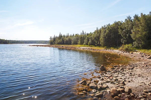 Beyaz deniz kıyısında Solovetsky Adalar manzarasına yaz