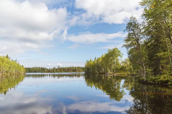 Lesní Jezero Odrazem Stromů — Stock fotografie