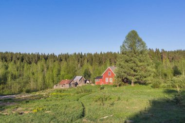Küçük ev ormandaki Karelya, Rusya Federasyonu