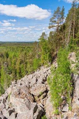 Yamaç tarafından Karelya Lynx dağda