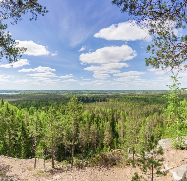 Mraky Nad Les Karélii Jaře — Stock fotografie