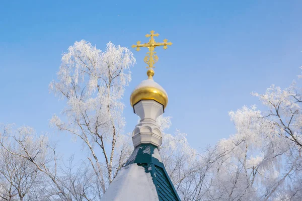 Золотой Купол Церкви Фоне Зимних Деревьев Неба — стоковое фото