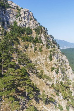Kayalık dağ yamacı çam ağaçları, yaz günü ile