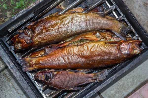 Freshly prepared fish in the smokehouse
