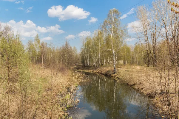 Malá řeka mezi stromy na jaře — Stock fotografie