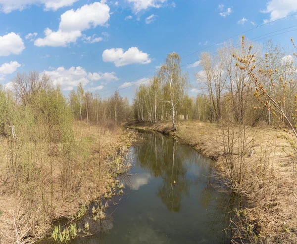 Jarní krajina s malou řekou mezi stromy — Stock fotografie