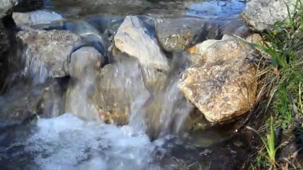 Petit Ruisseau Traverse Rapidement Seuil Par Une Journée Ensoleillée Printemps — Video