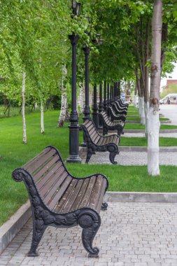 Yaz aylarında bir parkta Banklar