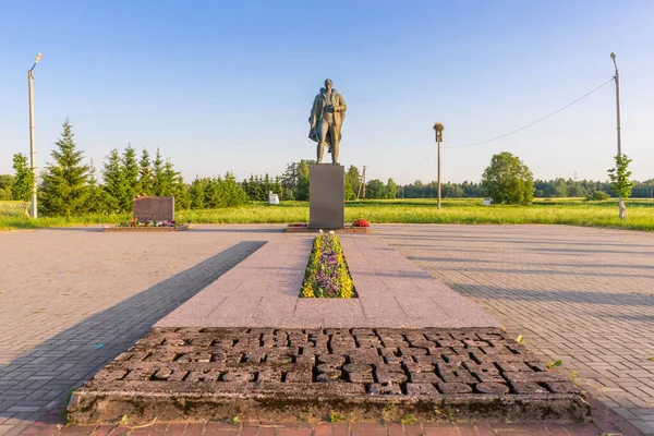 Büyük Zarechye Köyü Leningrad Bölgesi Rusya Haziran 2020 Leningrad Bölgesi — Stok fotoğraf