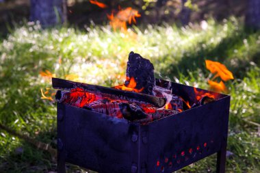 Barbekü ızgarası ve doğa ateşi. Ormanda yanan odunlarla barbekü. Yanan odunlarla barbekü..