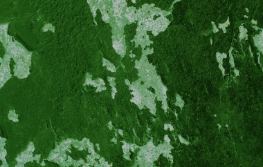 Yeşil boyalı, eski alçıdan bir duvar.