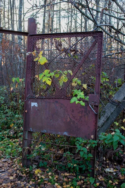 Bahçedeki eski kırık demir kapılar