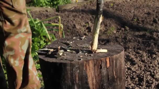 Una mano con un hacha planea un palo de madera — Vídeos de Stock