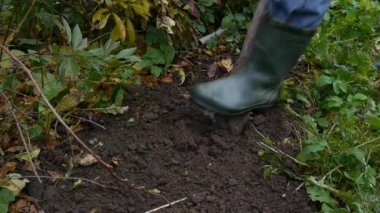 Bir çiftçi tohum için çukur kazar..