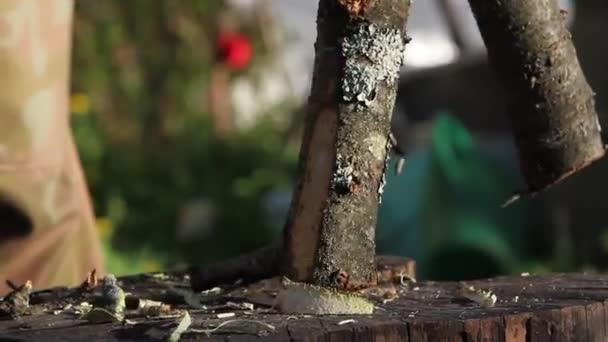 Un homme blanchit une branche épaisse avec une hache. — Video
