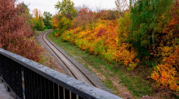 Percorso ferroviario che attraversa colorati boschi autunnali — Foto Stock