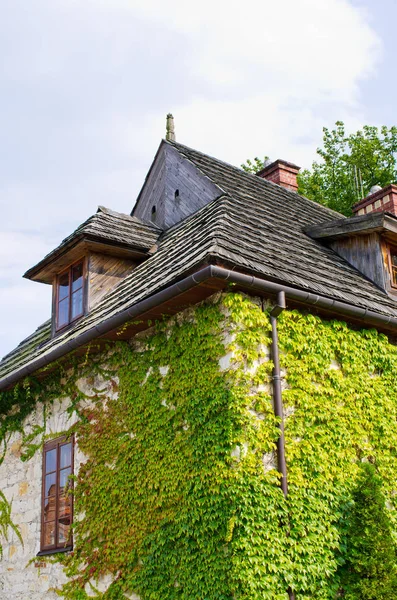 Altes Haus Mit Efeu Bedeckt — Stockfoto