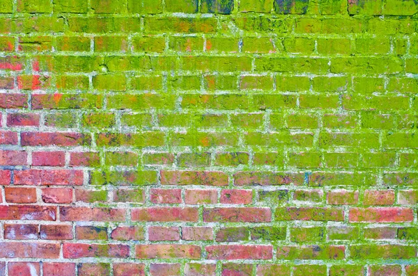 Moosbewachsene Ziegelmauer Als Hintergrund — Stockfoto