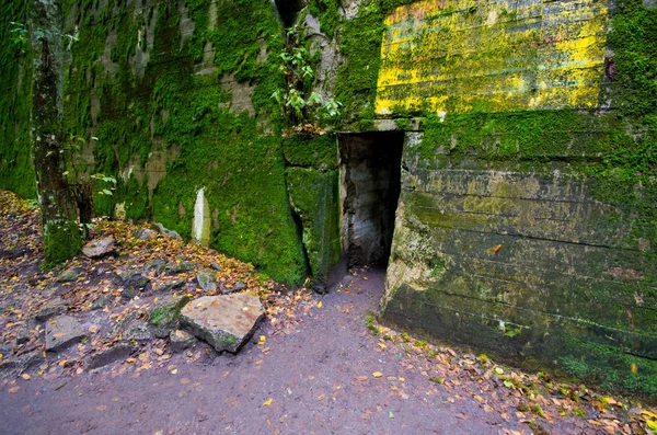 Bunkers Alemães Wilczy Szaniec Polónia — Fotografia de Stock