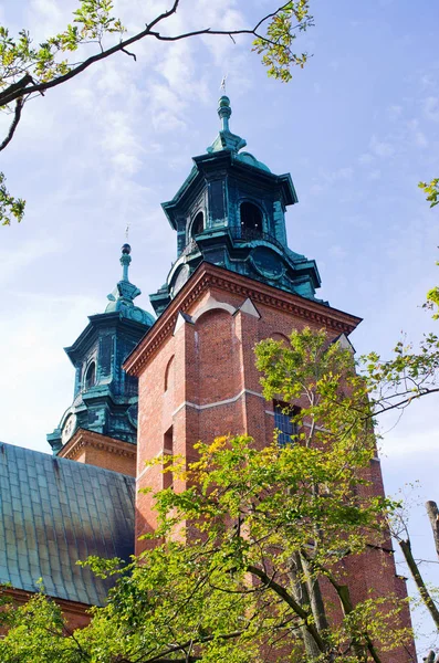 Słynny Kościół Gnieźnie Polska — Zdjęcie stockowe