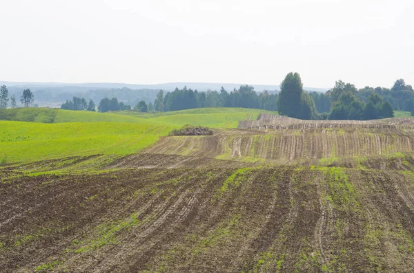 Plowed Field Springtime — Stock Photo, Image