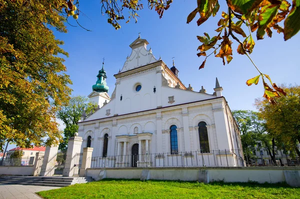 Witte Kerk Zamosc Polen — Stockfoto